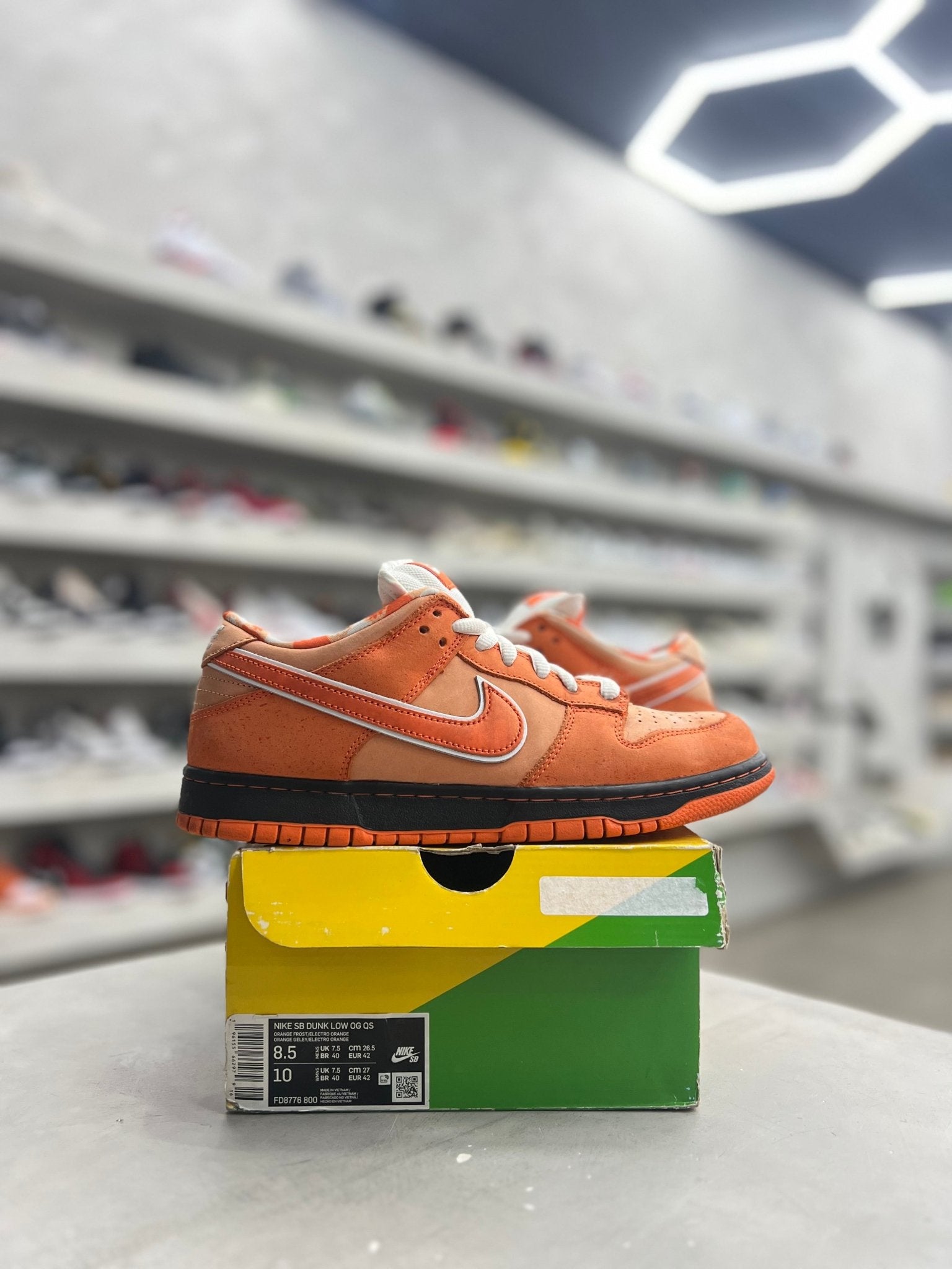 Nike SB Dunk Low Concepts Orange Lobster Sz 8.5 (PREOWNED) - Restock AveNike SB Dunk Low Concepts Orange Lobster Sz 8.5 (PREOWNED)Restock AveRestock Ave8.5Restock Ave