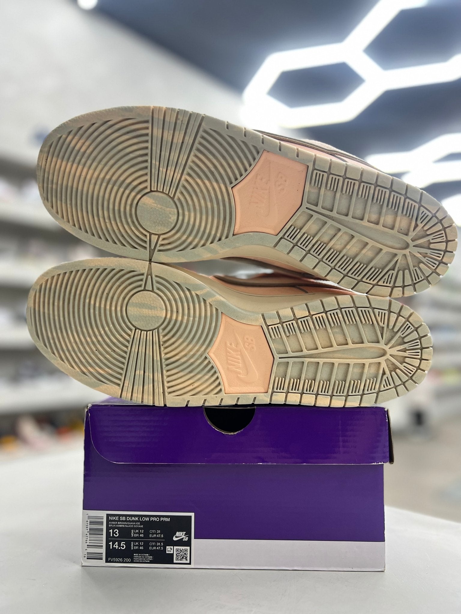 Nike SB Dunk Low Trocadéro Gardens Sz 13 (PREOWNED) - Restock AveNike SB Dunk Low Trocadéro Gardens Sz 13 (PREOWNED)Restock AveRestock Ave13Restock Ave